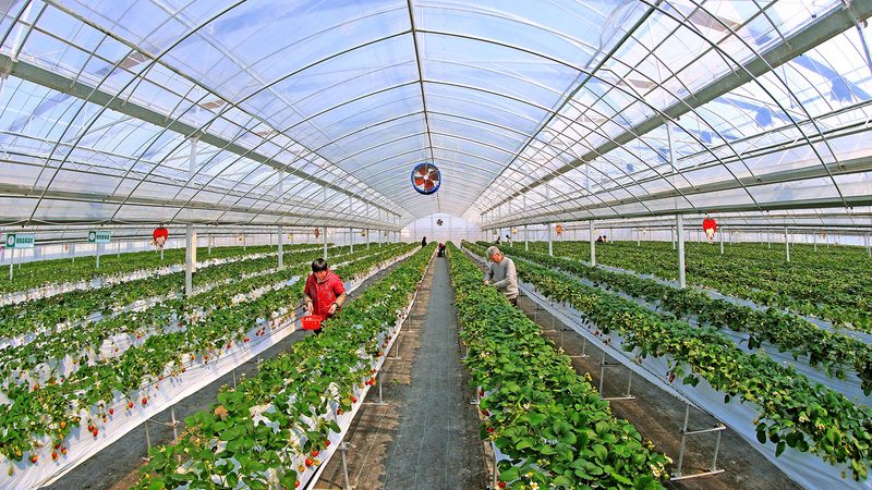 市级现代农业产业园建设，别只盯着“申报材料