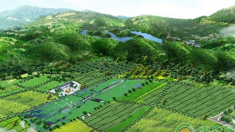 加盟代理价格是种植户关注的重点之一。一般来说，价格受以下因素影响：