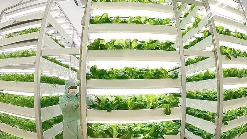 种养结合农场如何实现有机肥料批发定制**