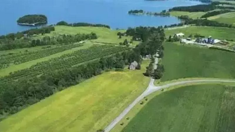 在众多绿色食品检测公司中，以下几家公司在广州具有较高的知名度和良好的口碑：