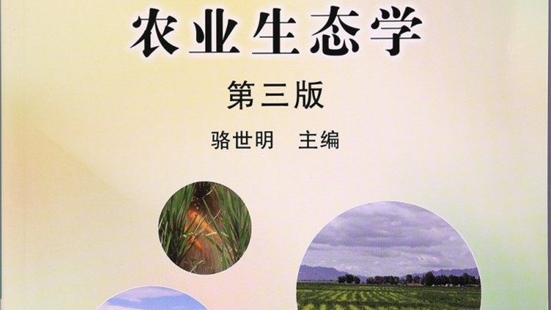 上海长兴岛采摘园适合情侣去吗