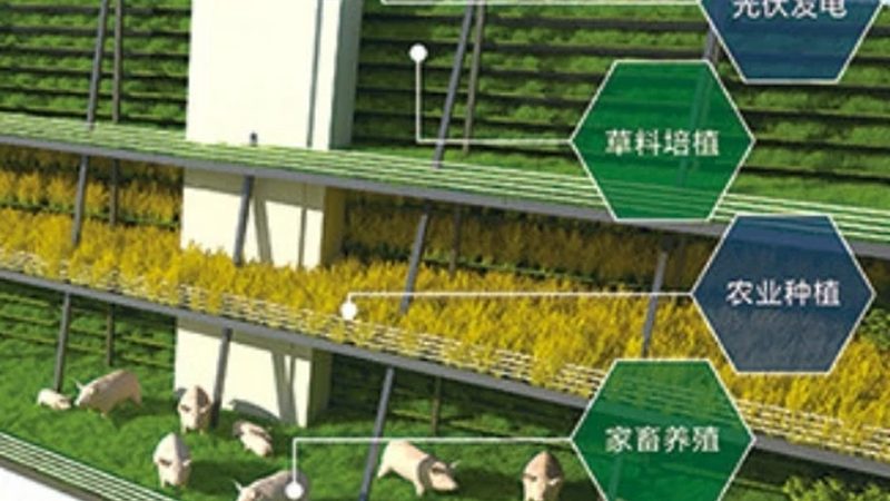 生鲜B2B平台崛起：揭秘行业前三强