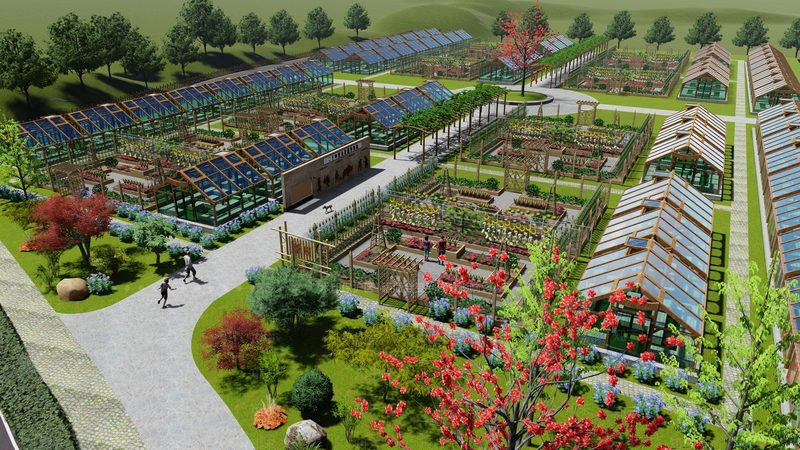 农村种植合作社注册流程全解析