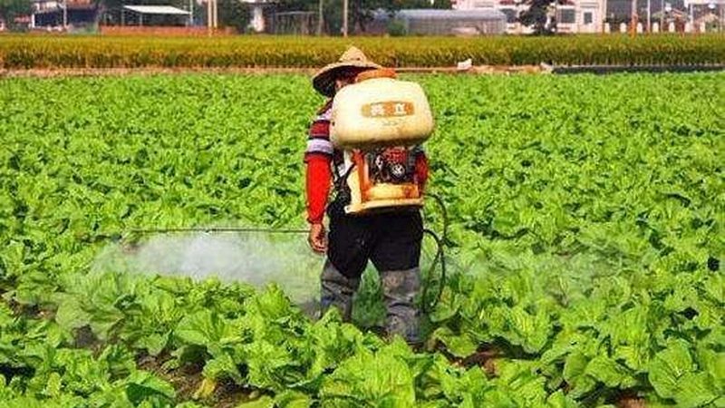 设施农业加盟十大品牌