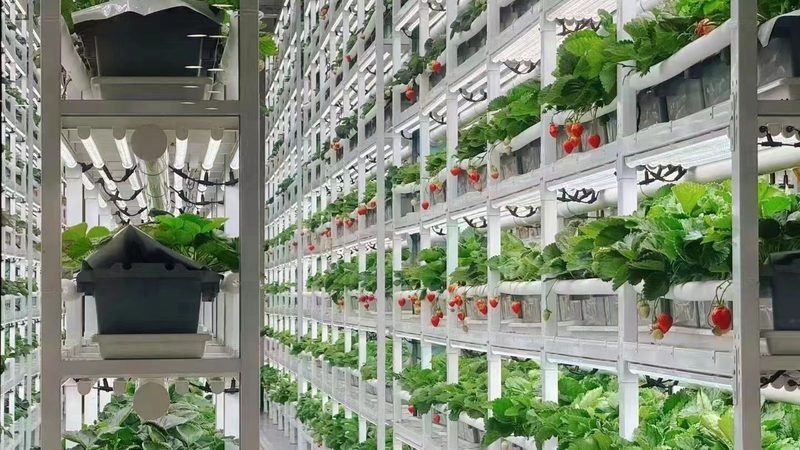 农业项目生产设备操作规范：保障效率与安全的要点解析
