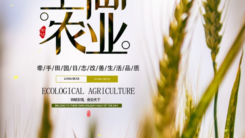休闲农场开发：流程解析与成本考量